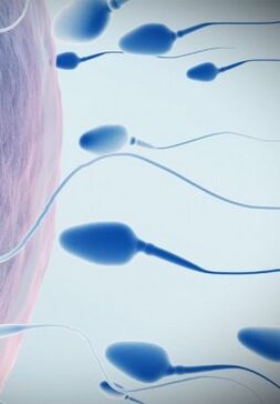 спермограма при низькій потенції